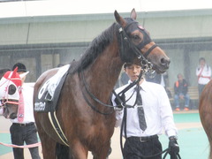 20141012 東京10R レジェンドTC オウケンブラック 03
