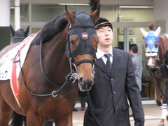 20160111 中山12R 4歳上500万下 オウケンブラック 04