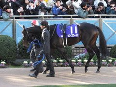 20131222 有馬記念 ラブイズブーシェ 01