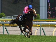 20160515 東京9R テレ玉杯(1000) ツクバアスナロ 22