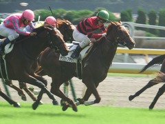 20181006 東京3R 2歳未勝利 ヤップヤップヤップ 17