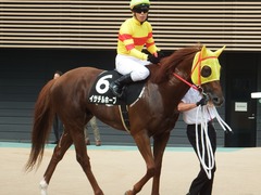 20180916 中山10R 初風特別(1000) イサチルホープ 15