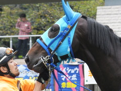 20151017 東京4R 2歳メイクデビュー モーゼス 13