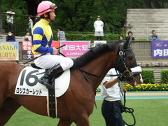 20180616 東京6R 3歳未勝利 ロジスカーレット 20