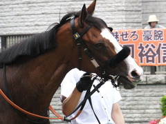 20170625 東京1R 3歳牝馬未勝利 プンメリン 06