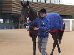 20180407 中山3R 3歳未勝利 ラプターゲイル 22