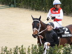 20150321 中山10R 韓国馬事会杯 ショウナンアポロン 17