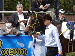 20150328 中山4R 3歳未勝利 ラッシュアタック 08