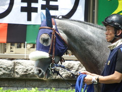 20180609 東京6R 3歳牝馬未勝利 ウェディングベール 12