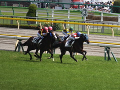 20150524 東京7R 4歳上500万下 トレジャーマップ 15