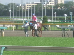 20120428 東京11R 青葉賞(G2)タムロトップステイ03