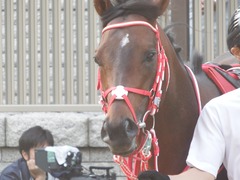 20180527 東京12R 目黒記念(G2) ホウオウドリーム 11