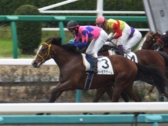 20160312 中山6R 3歳500万下 ノーモアゲーム 15