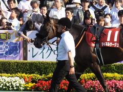 20170528 東京12R 目黒記念(G2) マイネルサージュ 08