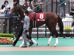 20131109 東京 モーリス 02