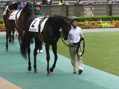 20160423 東京4R 3歳未勝利 ラルゴランド 01