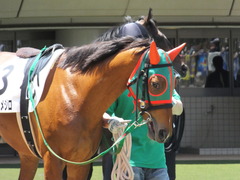 20130512 東京1