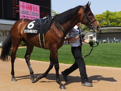 20150425 京都9R 比良山特別 ビップレボルシオン 03