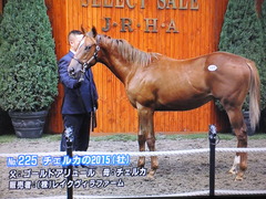 チェルカ15
