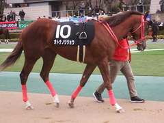 20190126 東京10R クロッカスS 3歳OP オトナノジジョウ 14