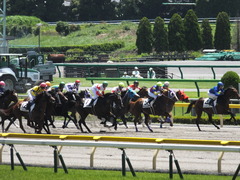 20140614 東京3R ダノンジャガー 12