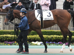 20170205 東京1R 3歳未勝利 メガポリゴン 05