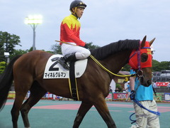 20170524 大井8R B2 マイネルグルマン 14