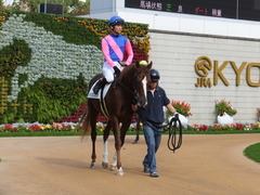 20151121京都2R 2歳未勝利 メイショウノボサン 06