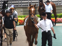 20160619 東京4R 3歳未勝利 オートシャンティ 04