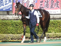 20190216 東京9R フリージア賞 3歳500万下 ホウオウサーベル 03