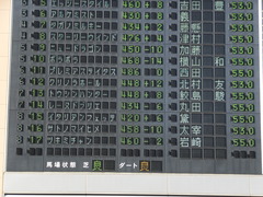 20161016 新潟10R 粟島特別(牝500) レーヌドブリエ 02