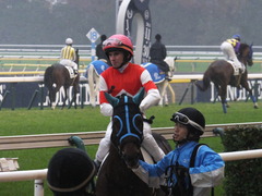 20141129 東京6R 3歳上500万下トレジャーマップ 08