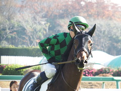20171203 中山4R 2歳未勝利 ルフィーナ 15