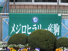 20150328 中山4R 3歳未勝利 ラッシュアタック 02
