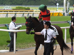 20170507 東京8R 4歳上(1000) オウケンブラック 16