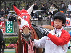 20151123 東京10R 鷹巣山特別 レーヌドブリエ 17