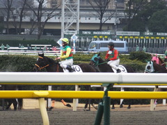 20160130 東京3R 3歳未勝利 アイルーロス 16