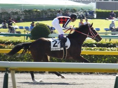 20161015 東京6R (500) ピッツバーグ 16