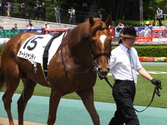 20160521 東京3R 3歳未勝利 オートシャンティ 10