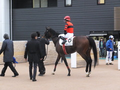20160111 中山12R 4歳上500万下 オウケンブラック 14