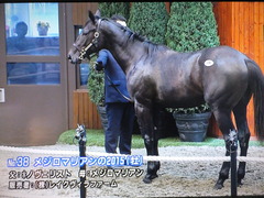 メジロマリアン15