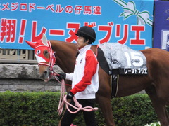20151123 東京10R 鷹巣山特別 レーヌドブリエ 10