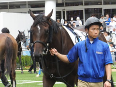 20150919 中山4R 3歳未勝利 ジュンコアー 08