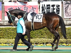 20180217 東京3R 3歳未勝利 ハッピーテーラー 14