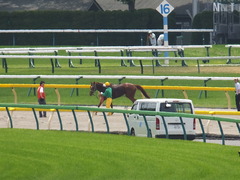 DSCF6188