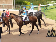 20150919 中山10R 松戸特別 ヴィルトグラーフ 12