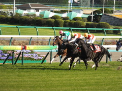 20140412 中山11R ニュージーランドT ショウナンアチーヴ 12