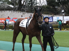 20160130 東京6R 3歳500万下 アートラヴァー 07
