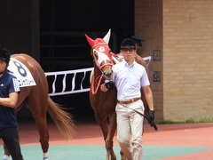 20160710 中京7R 3歳上500万下 レーヌドブリエ 06