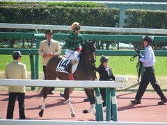 20180325 中山1R 3歳未勝利 ルフィーナ 13